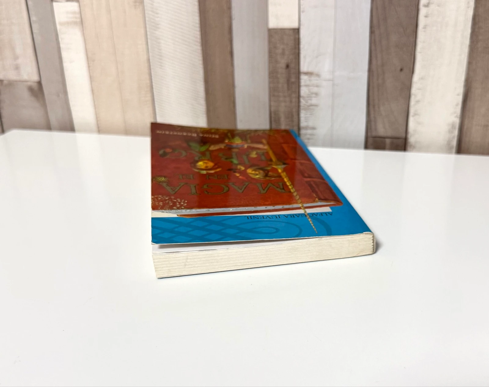 Magic Book in the Book – photo 8
